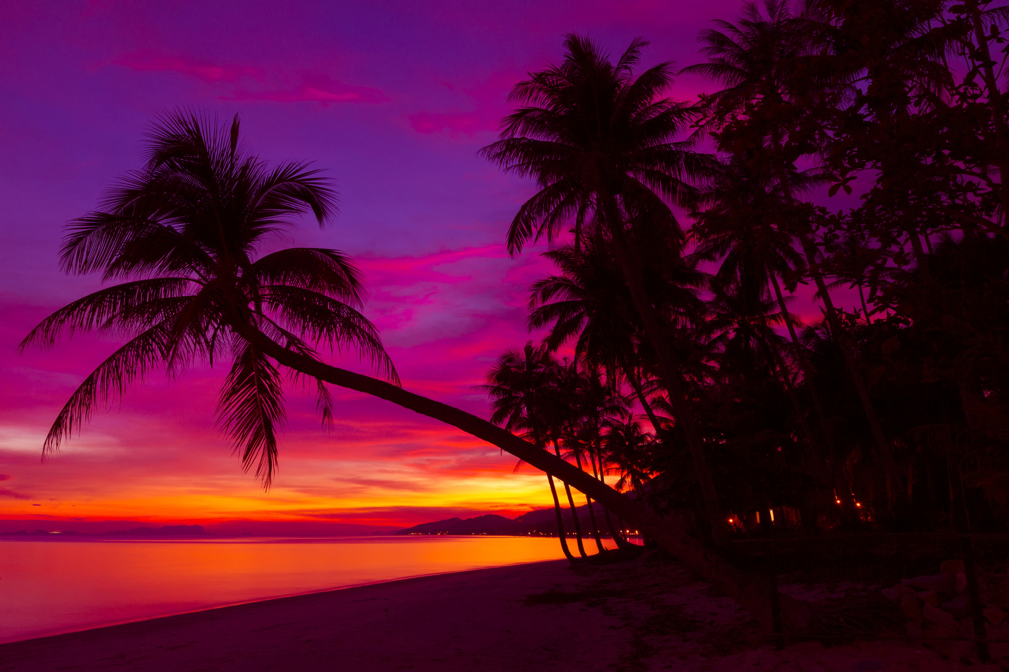 Tropical sunset